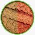 CRISPY KIZIL DAL DARI PAKET 500 GR